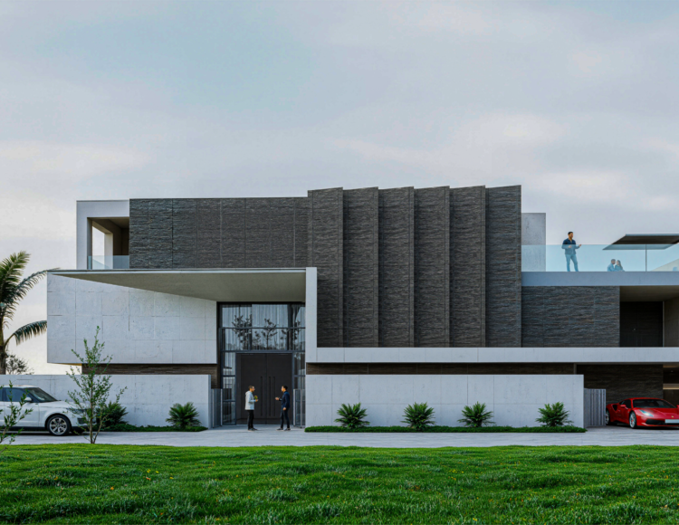 ZENIA VUE EN FACE-01